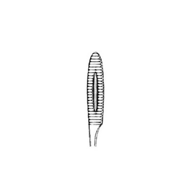 03-679 (Gross-Maier)