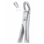 Fig. 103 upper molars left