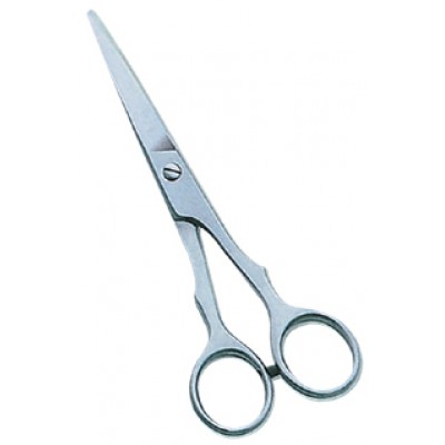 Barber Scissors