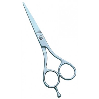 Barber Scissors