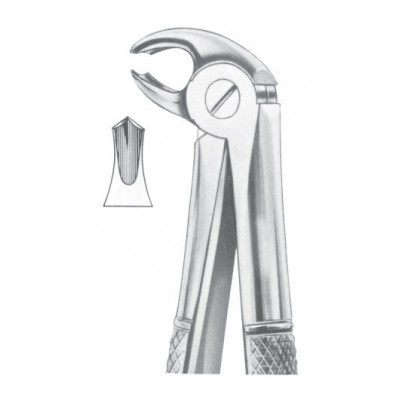  Fig. 22S lower molars for children