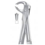  Fig. 73 lower molars