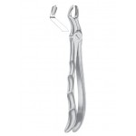  Fig. 67 � R upper third molars right