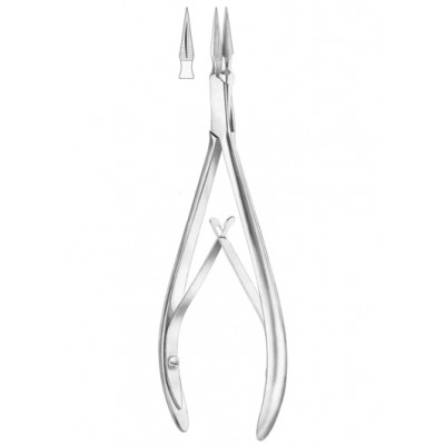  RALK Fig. 231 root fragments