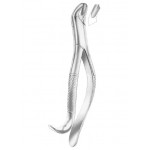  HARRIS Fig. 18R upper molars right